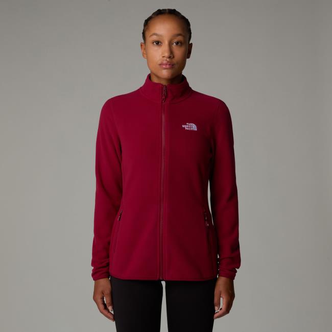 the north face 100 Glacier Fz W - Imagem 3