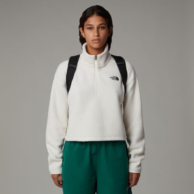 the north face Borealis Mini Backpack - Imagem 7